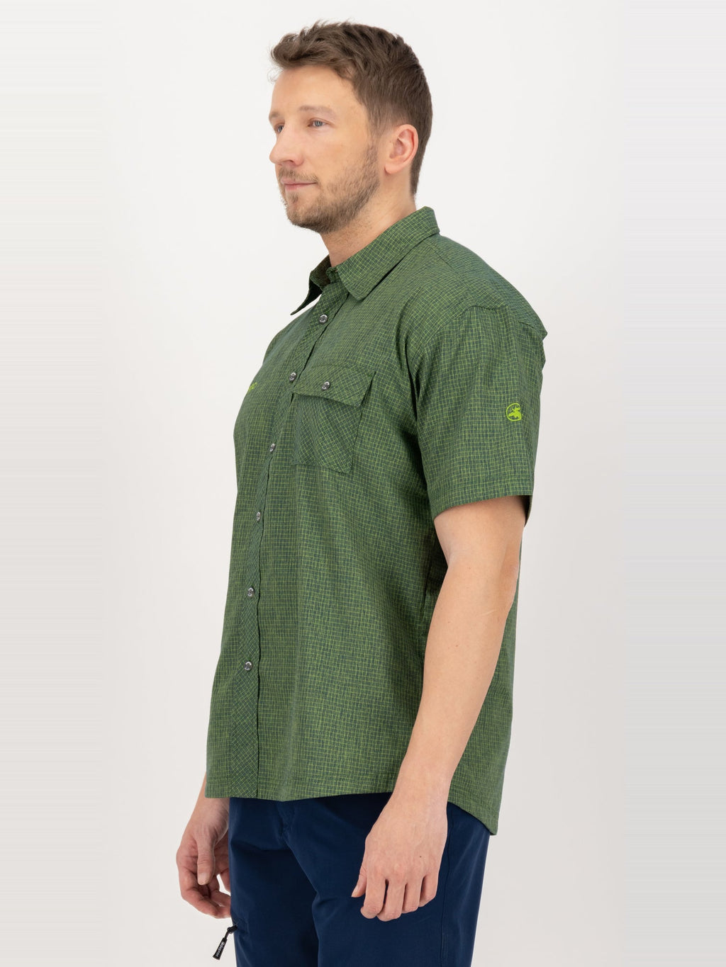 Olive 3