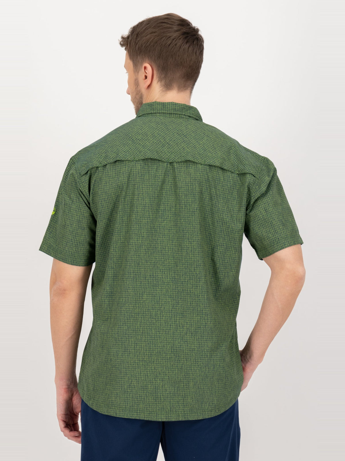Olive 4